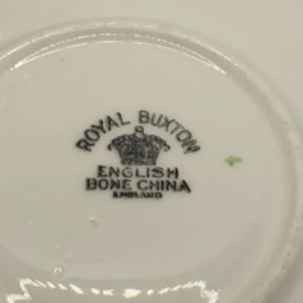 Royal Buxon English Bone China Cup and Saucer